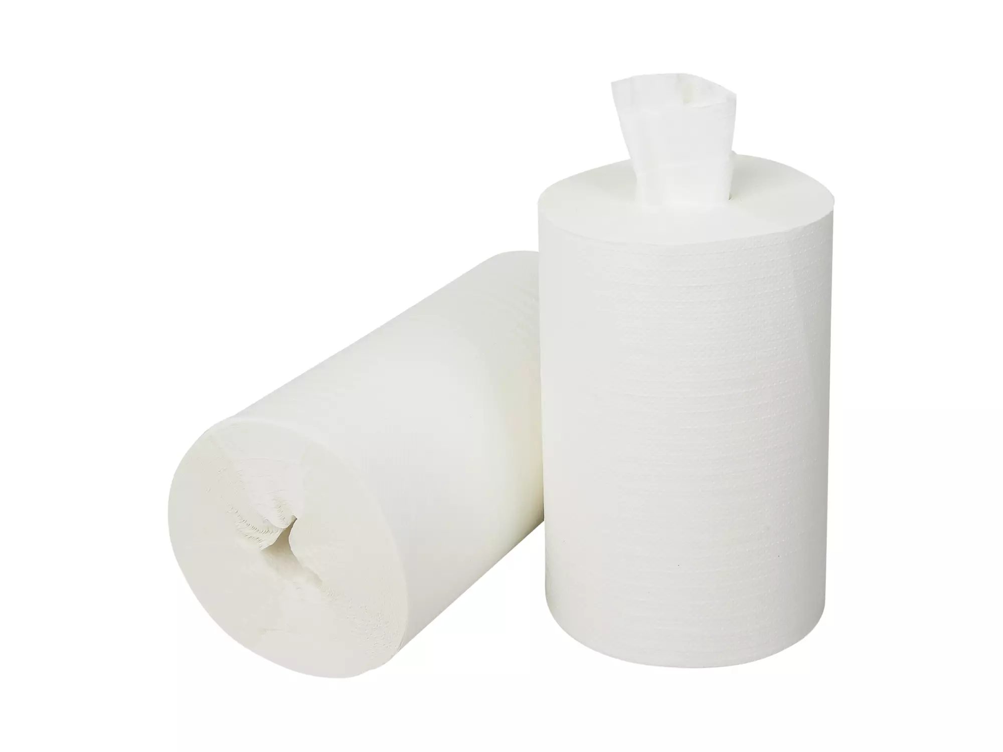 Mini poetspapier coreless cellulose 2-laags 60 meter 12 rol