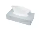 Facial Tissues cellulose 2-laags 21 cm x 21 cm 40 x 100 sheets