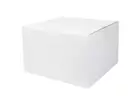 Handdoekpapier c-fold cellulose wit 2-laags 31 x 25 cm 16 x 152 sheets