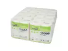 Toiletpapier traditioneel E-tissue naturel 2-laags 300 vel 10 x 4 rol