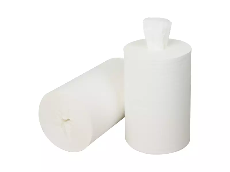 Mini poetspapier coreless cellulose 1-laags 120 meter 12 rol