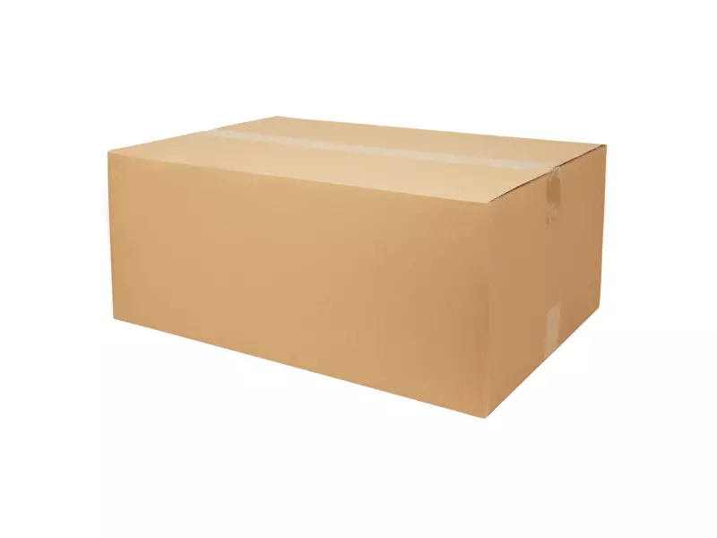Facial Tissues cellulose 2-laag 20 x 19,5 cm 40 x 100 sheets