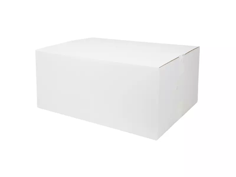 Handdoekpapier V-fold cellulose 2-laags 23 x 25 cm 20 x 160 sheets