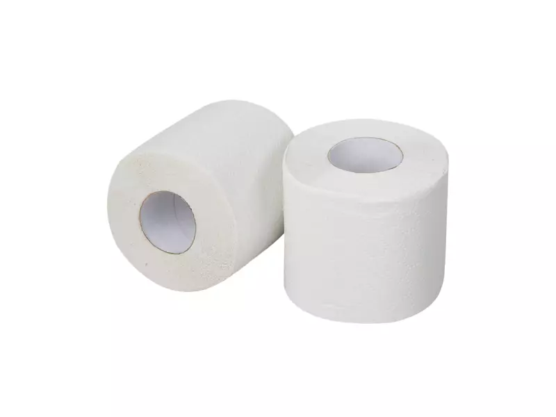 Toiletpapier traditioneel recycled wit 2-laags 200 vel 12 x 4 rol