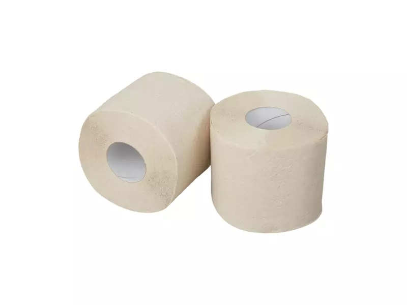 Toiletpapier traditioneel E-tissue naturel 2-laags 300 vel 10 x 4 rol