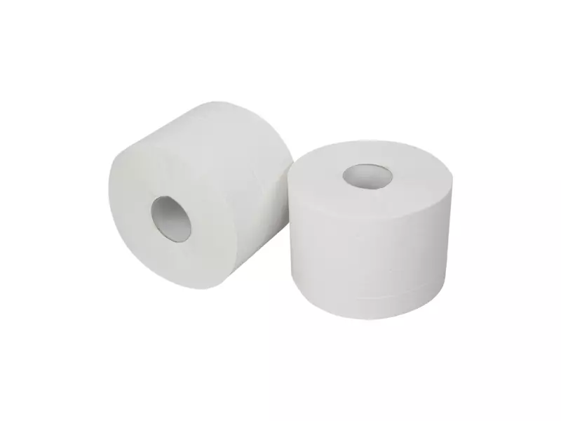 Toiletpapier compact recycled wit 2-laags 100 meter 24 rol