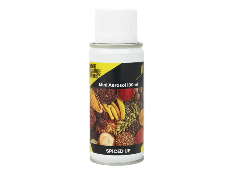 Luchtverfrisser Aerosol spiced up 100 ml 12 stuks