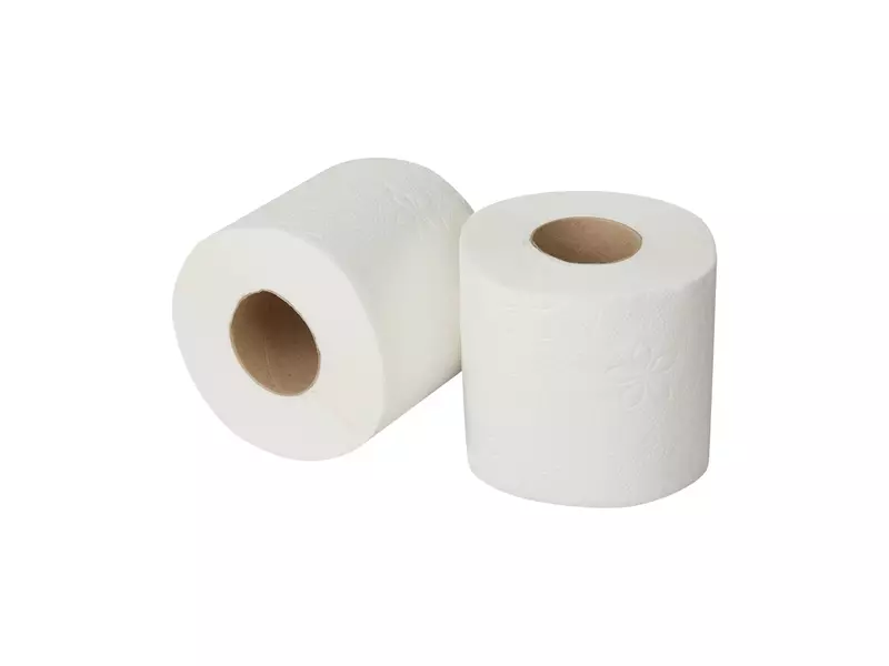 Toiletpapier traditioneel cellulose wit 2-laags 200 vel 12 x 4 rol