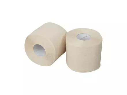Toiletpapier traditioneel E-tissue naturel 2-laags 300 vel 10 x 4 rol