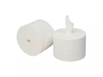 Toiletpapier zonder koker cellulose 2-laags 900 vel 36 rol